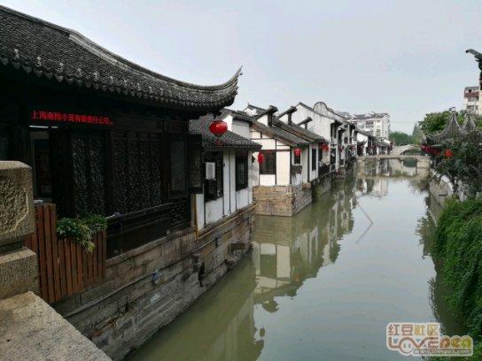 泰拉瑞亚